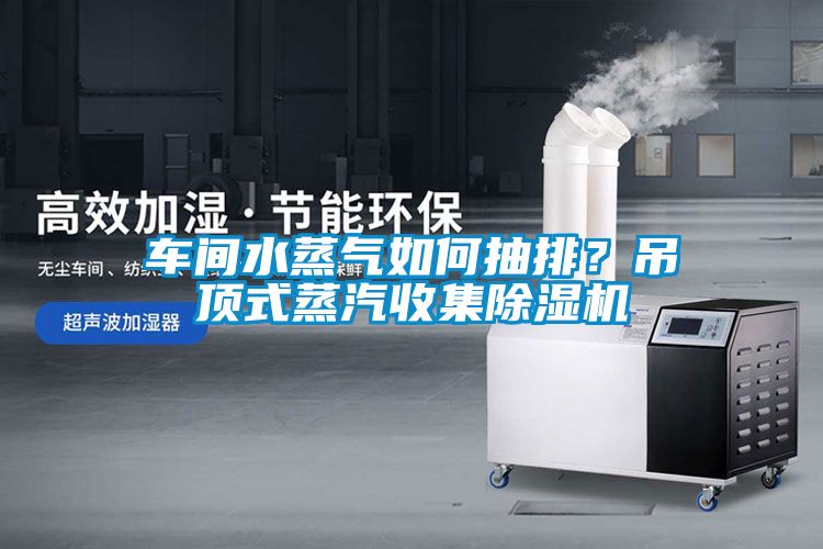 车间水蒸气如何抽排？吊顶式蒸汽收集茄子视频懂你更多在线观看