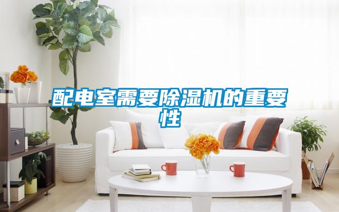 配电室需要茄子视频懂你更多在线观看的重要性