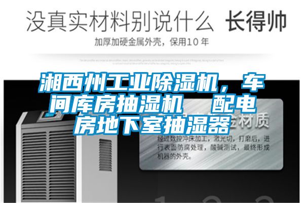 湘西州工业茄子视频懂你更多在线观看，车间库房抽湿机  配电房地下室抽湿器