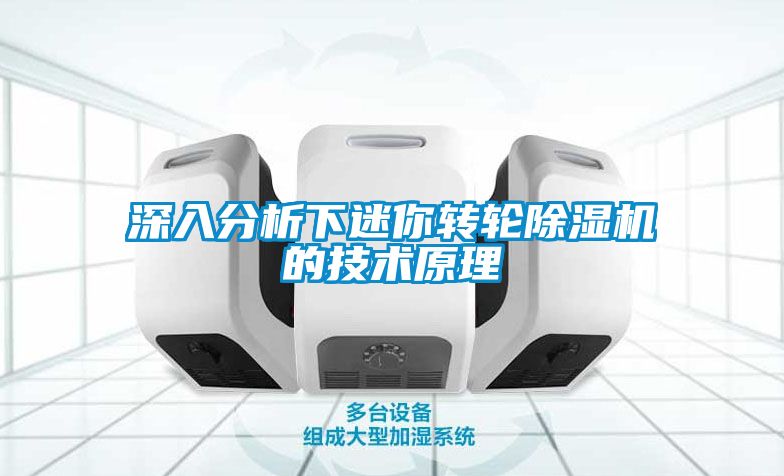 深入分析下迷你转轮茄子视频懂你更多在线观看的技术原理