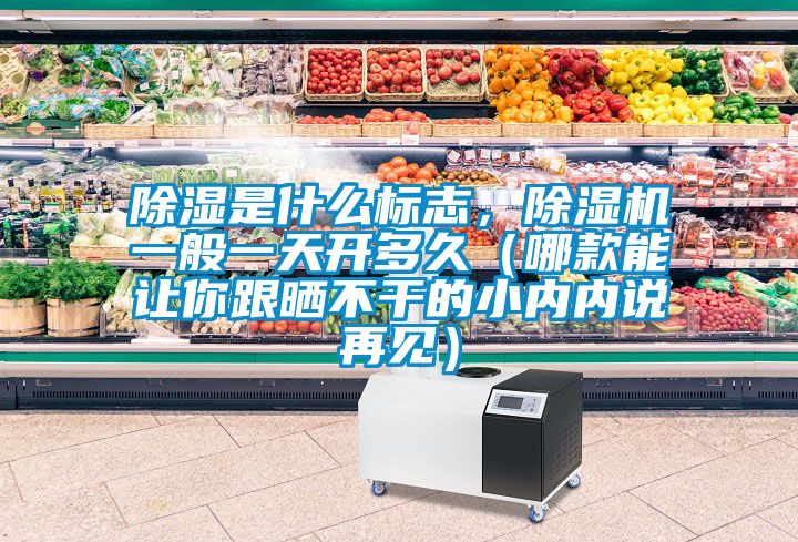 除湿是什么标志，茄子视频懂你更多在线观看一般一天开多久（哪款能让你跟晒不干的小内内说再见）