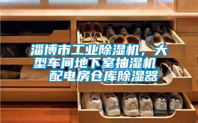 淄博市工业茄子视频懂你更多在线观看，大型车间地下室抽湿机  配电房仓库除湿器