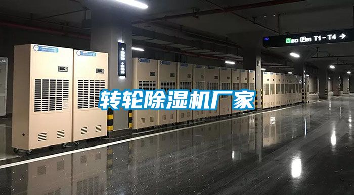 转轮茄子视频懂你更多在线观看厂家
