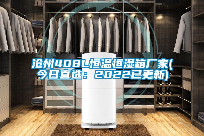 沧州408L恒温恒湿箱厂家(今日直选：2022已更新)
