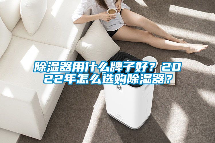 除湿器用什么牌子好？2022年怎么选购除湿器？