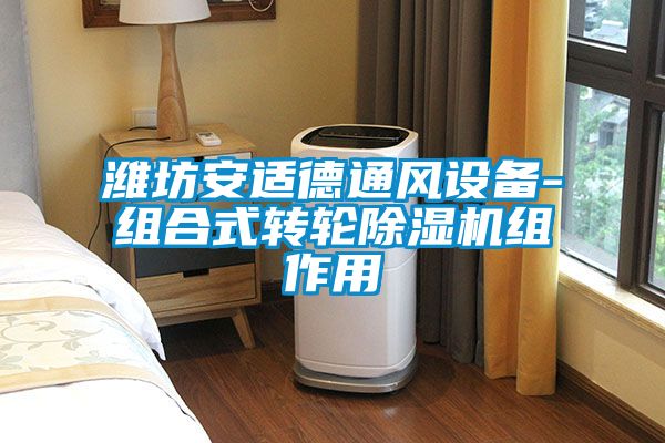 潍坊安适德通风设备-组合式转轮茄子视频懂你更多在线观看组作用