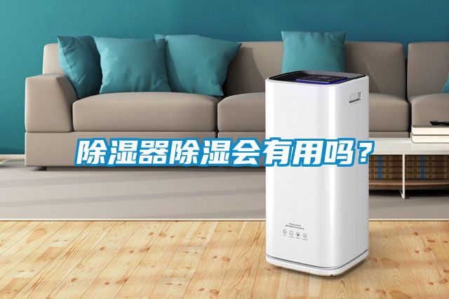 除湿器除湿会有用吗？