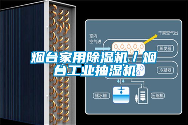 烟台家用茄子视频懂你更多在线观看／烟台工业抽湿机
