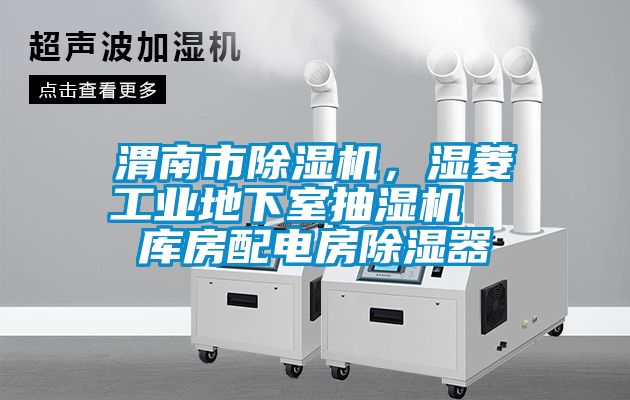 渭南市茄子视频懂你更多在线观看，湿菱工业地下室抽湿机  库房配电房除湿器