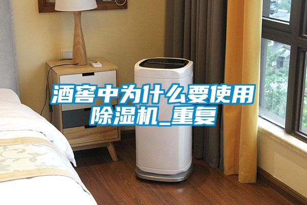酒窖中为什么要使用茄子视频懂你更多在线观看_重复