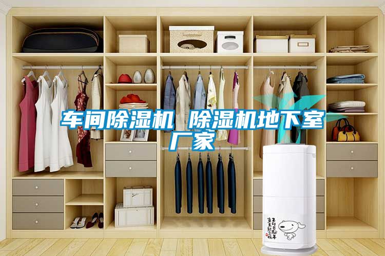 车间茄子视频懂你更多在线观看 茄子视频懂你更多在线观看地下室厂家