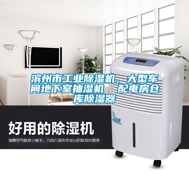 滨州市工业茄子视频懂你更多在线观看，大型车间地下室抽湿机  配电房仓库除湿器