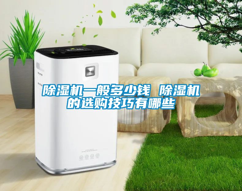 茄子视频懂你更多在线观看一般多少钱 茄子视频懂你更多在线观看的选购技巧有哪些