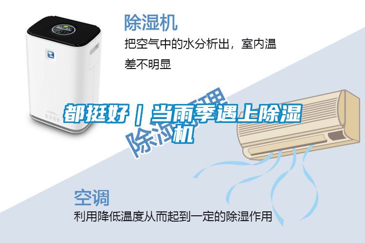 都挺好｜当雨季遇上茄子视频懂你更多在线观看