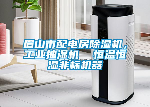 眉山市配电房茄子视频懂你更多在线观看，工业抽湿机  恒温恒湿非标机器