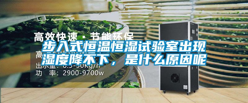 步入式恒温恒湿试验室出现湿度降不下，是什么原因呢