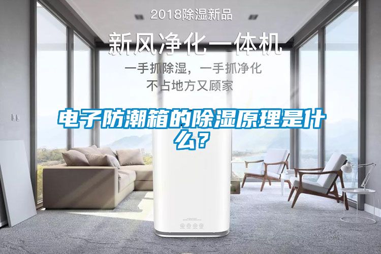 电子防潮箱的除湿原理是什么？