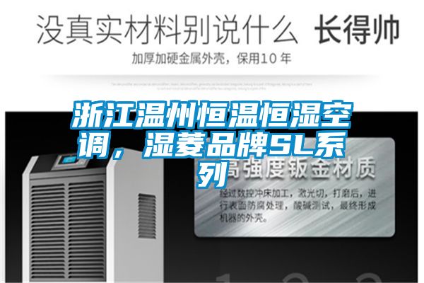 浙江温州恒温恒湿空调，湿菱品牌SL系列
