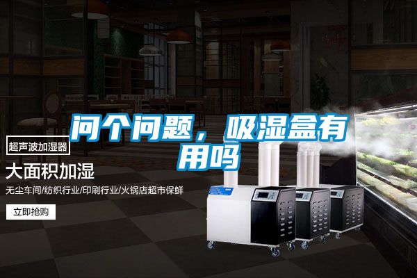 问个问题，吸湿盒有用吗