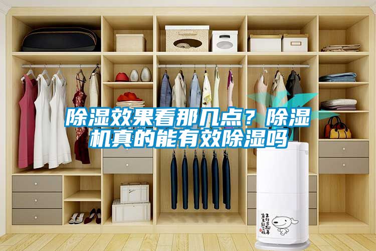 除湿效果看那几点？茄子视频懂你更多在线观看真的能有效除湿吗