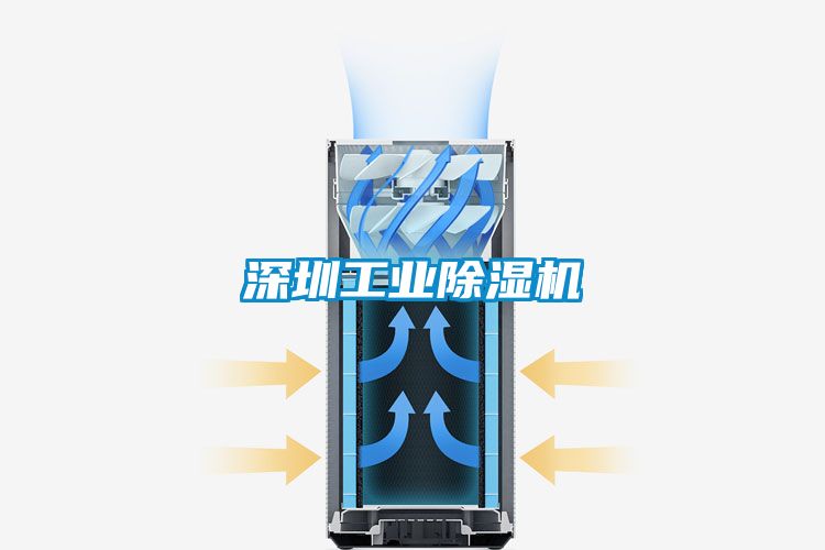 深圳工业茄子视频懂你更多在线观看
