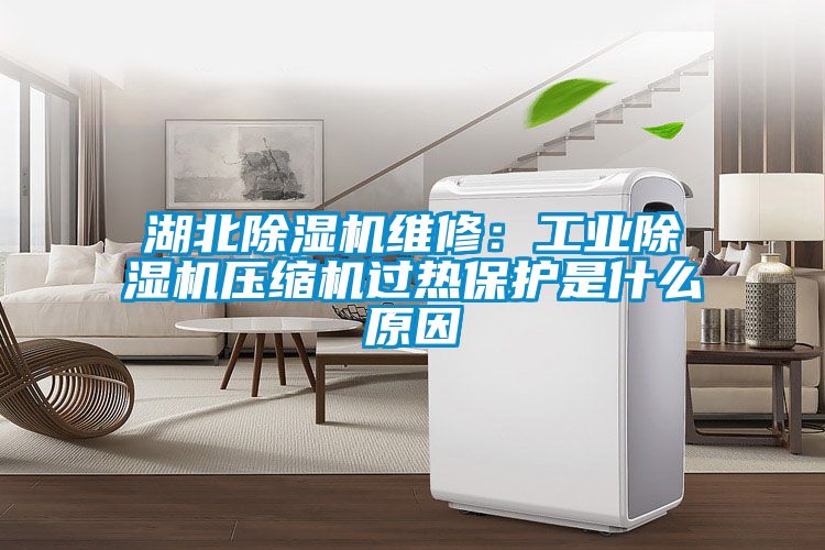 湖北茄子视频懂你更多在线观看维修：工业茄子视频懂你更多在线观看压缩机过热保护是什么原因