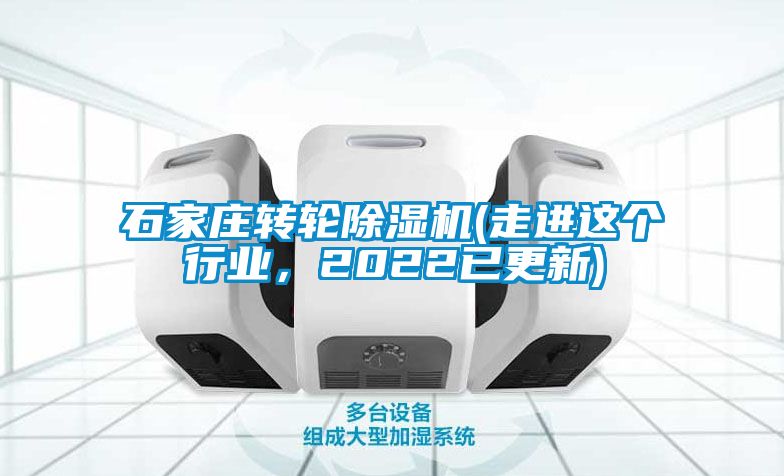 石家庄转轮茄子视频懂你更多在线观看(走进这个行业，2022已更新)