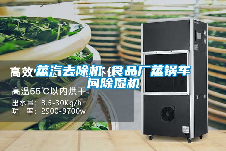蒸汽去除机 食品厂蒸锅车间茄子视频懂你更多在线观看