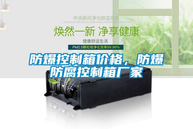 防爆控制箱价格，防爆防腐控制箱厂家