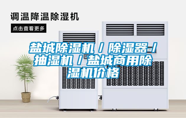 盐城茄子视频懂你更多在线观看／除湿器／抽湿机／盐城商用茄子视频懂你更多在线观看价格