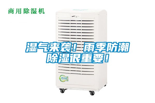 湿气来袭！雨季防潮除湿很重要！