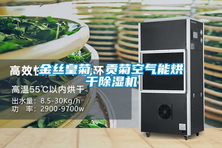 金丝皇菊、贡菊空气能烘干茄子视频懂你更多在线观看
