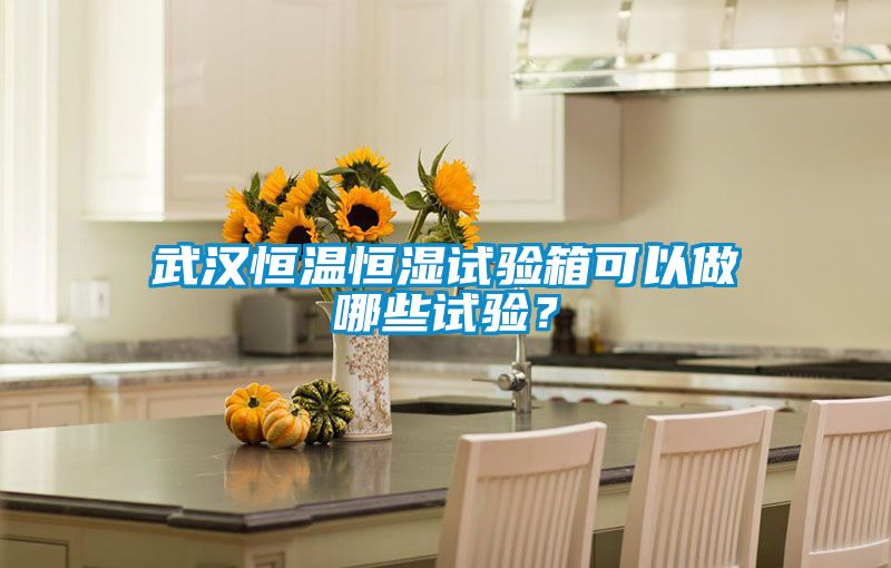 武汉恒温恒湿试验箱可以做哪些试验？