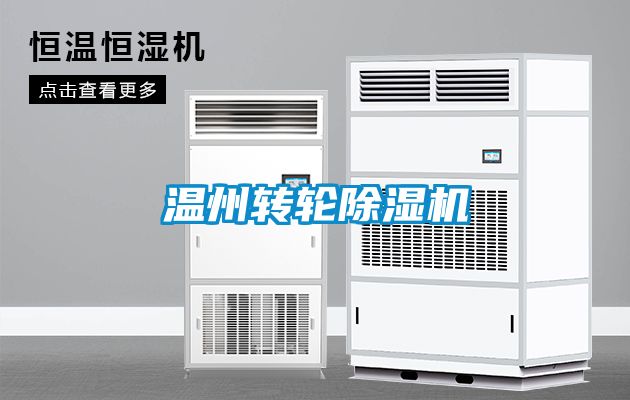 温州转轮茄子视频懂你更多在线观看