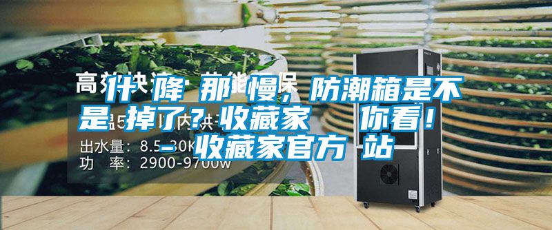 為什麼降濕那麼慢，防潮箱是不是壞掉了？收藏家實測給你看！ - 收藏家官方網站