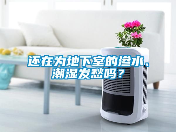 还在为地下室的渗水、潮湿发愁吗？