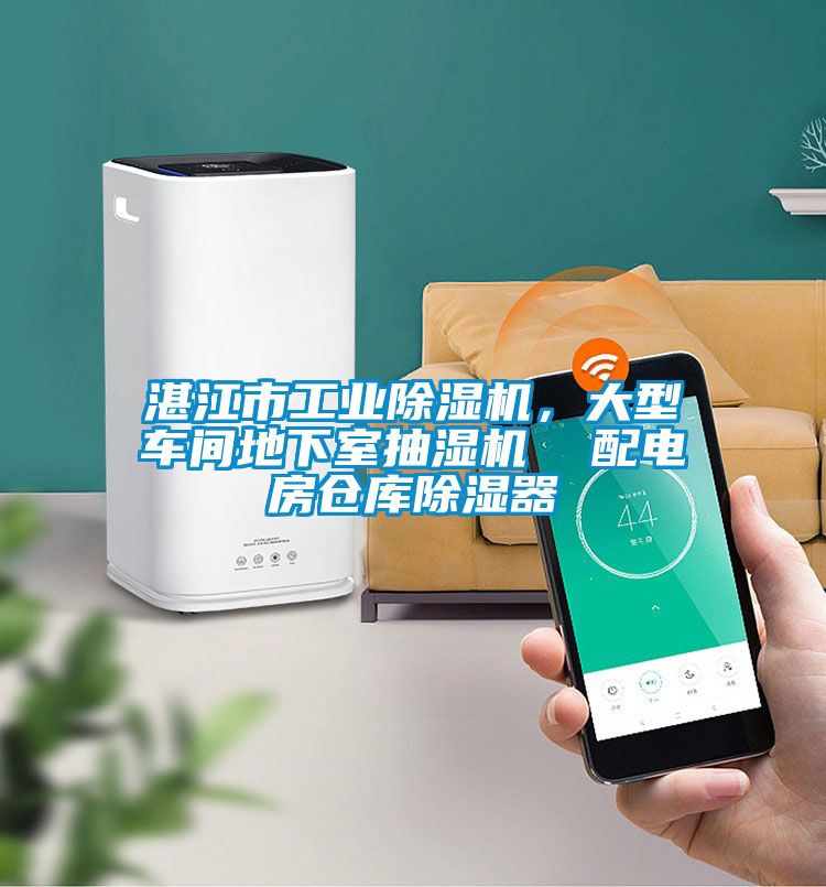 湛江市工业茄子视频懂你更多在线观看，大型车间地下室抽湿机  配电房仓库除湿器
