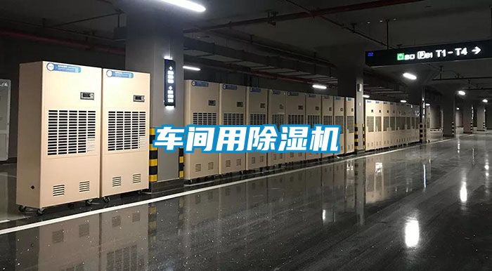 车间用茄子视频懂你更多在线观看