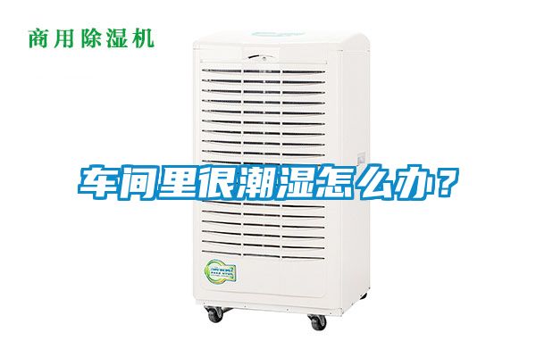 车间里很潮湿怎么办？
