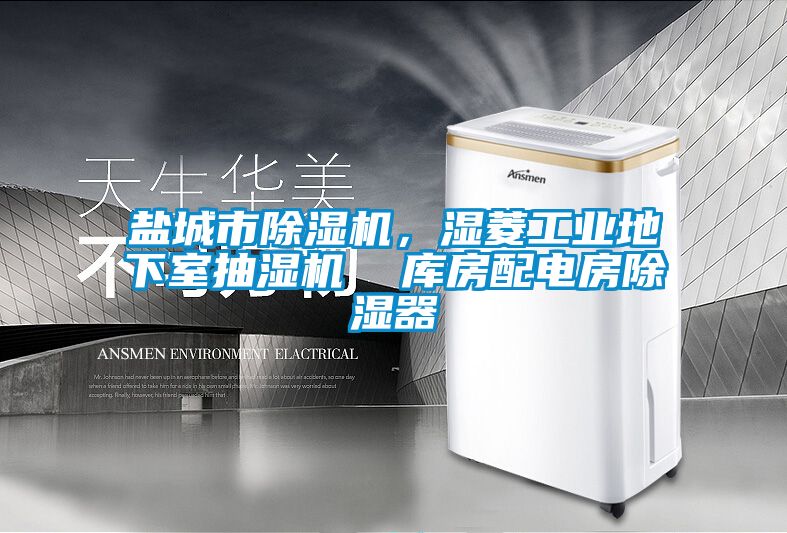 盐城市茄子视频懂你更多在线观看，湿菱工业地下室抽湿机  库房配电房除湿器