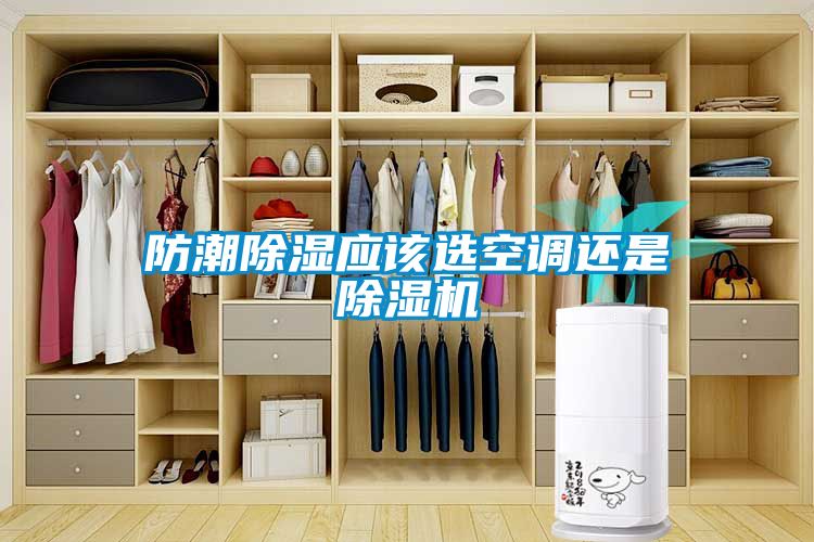 防潮除湿应该选空调还是茄子视频懂你更多在线观看