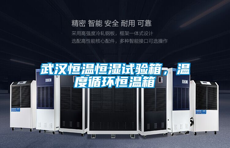 武汉恒温恒湿试验箱，温度循环恒温箱
