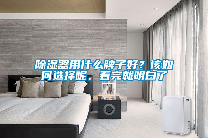 除湿器用什么牌子好？该如何选择呢，看完就明白了