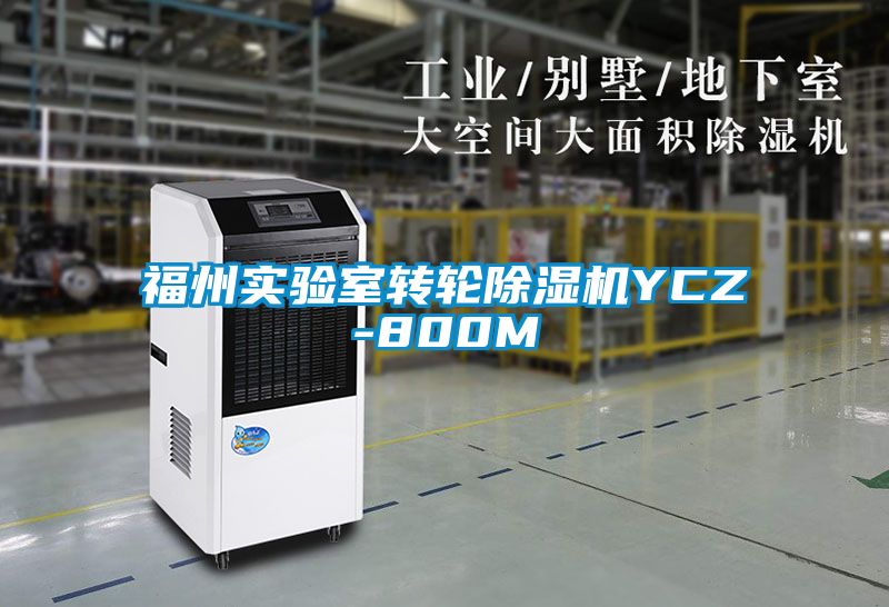 福州实验室转轮茄子视频懂你更多在线观看YCZ-800M