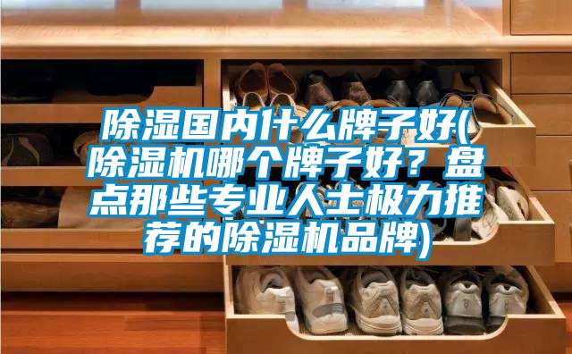 除湿国内什么牌子好(茄子视频懂你更多在线观看哪个牌子好？盘点那些专业人士极力推荐的茄子视频懂你更多在线观看品牌)