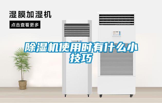 茄子视频懂你更多在线观看使用时有什么小技巧