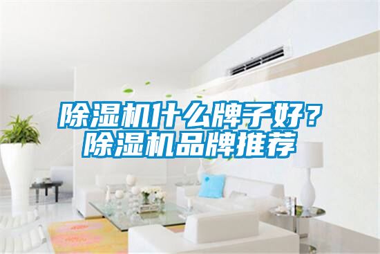 茄子视频懂你更多在线观看什么牌子好？茄子视频懂你更多在线观看品牌推荐