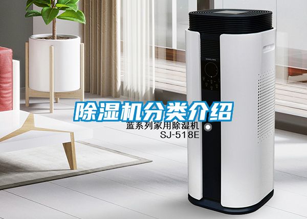 茄子视频懂你更多在线观看分类介绍