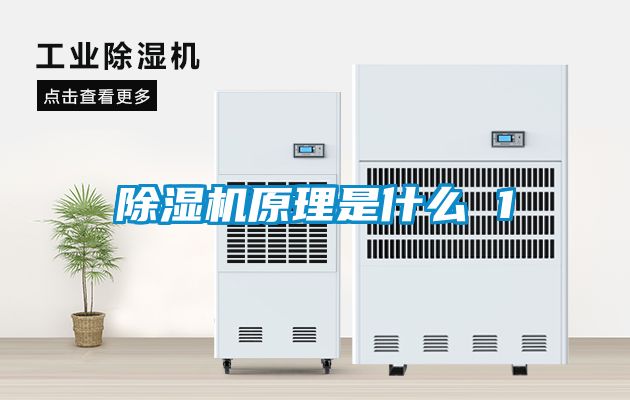 茄子视频懂你更多在线观看原理是什么 1