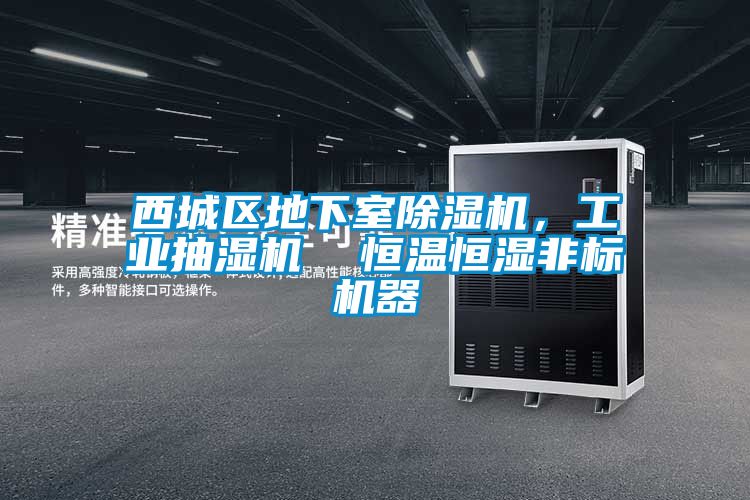 西城区地下室茄子视频懂你更多在线观看，工业抽湿机  恒温恒湿非标机器